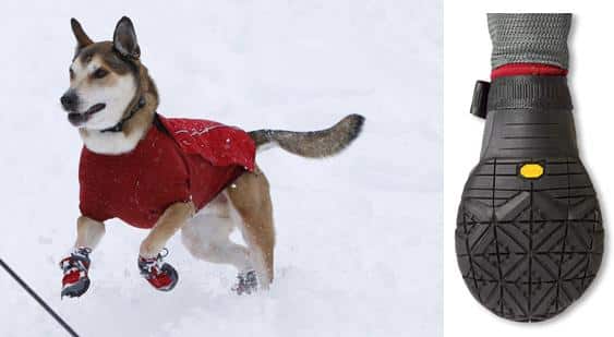 dog-snow-shoes