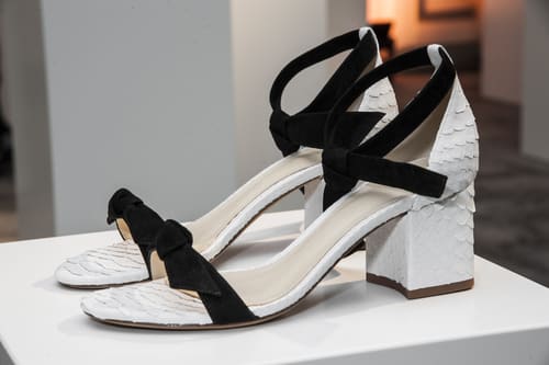alexandre-birman scarpe donna estate 2017