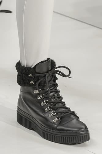 Tod s anfibi inverno 2017-2018