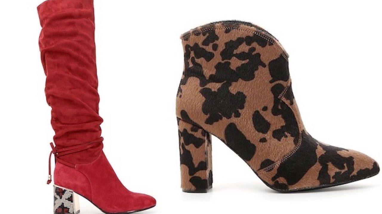 anfibi cafe noir 2019